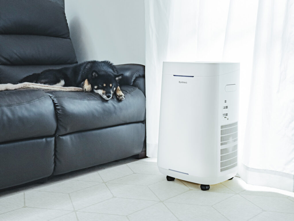 Apolnus Venusの外観